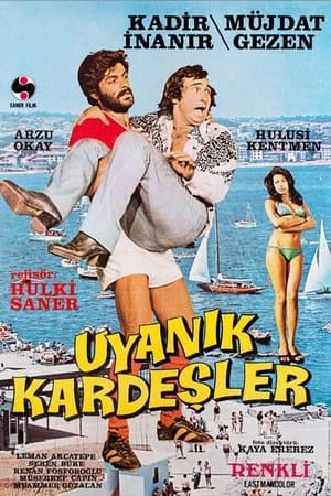 Uyanık Kardeşler streaming