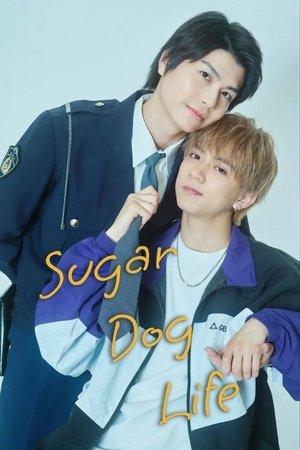 Sugar Dog Life streaming