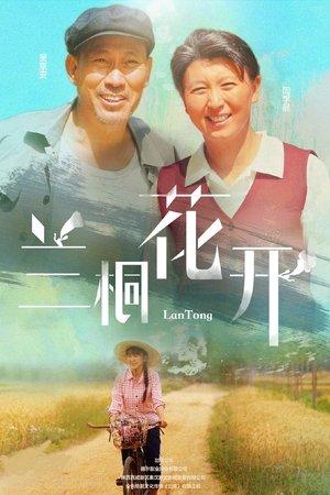 兰桐花开 streaming