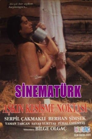 Aşkın Kesişme Noktası streaming