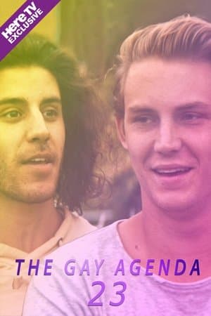The Gay Agenda 23 streaming
