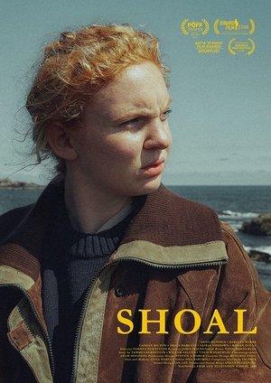 Shoal streaming