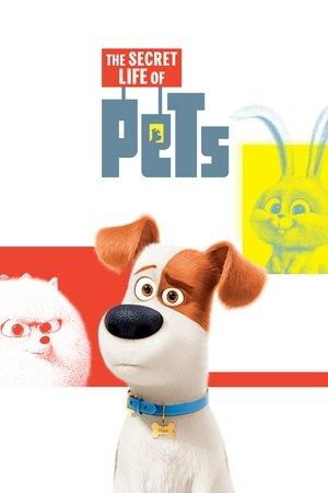 The Secret Life of Pets streaming