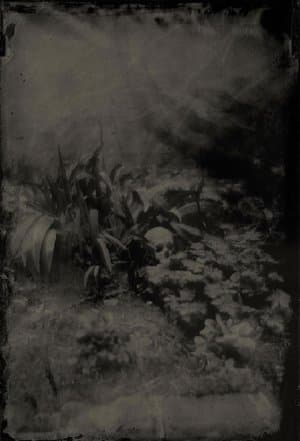 Boogie & Demons streaming