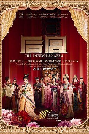 后宫 streaming