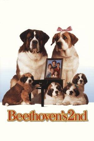 Beethoven's 2nd streaming