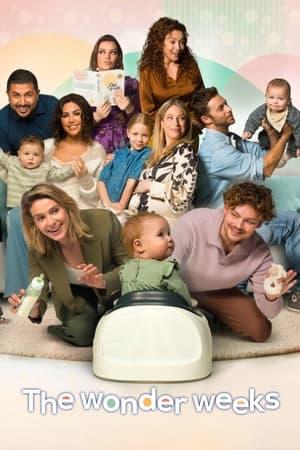 The Wonder Weeks streaming