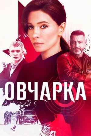 Овчарка streaming
