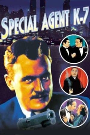 Special Agent K-7 streaming