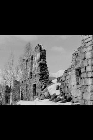 მეკვლე streaming