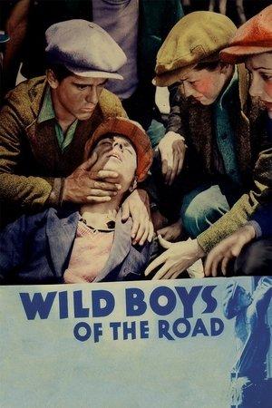 Wild Boys of the Road streaming