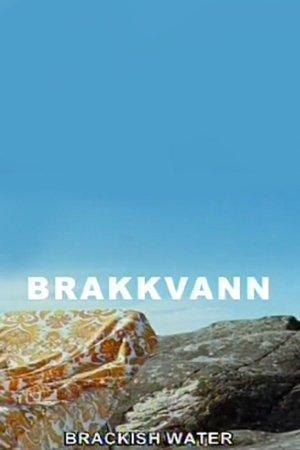Brakkvann streaming