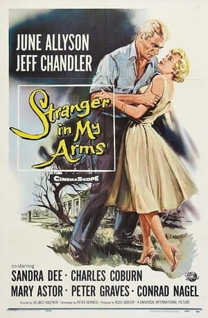 Un étranger dans mes bras streaming