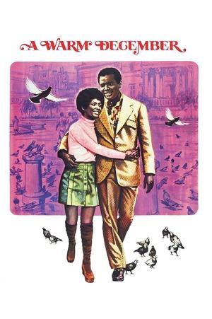 L'amour fleurit en décembre streaming