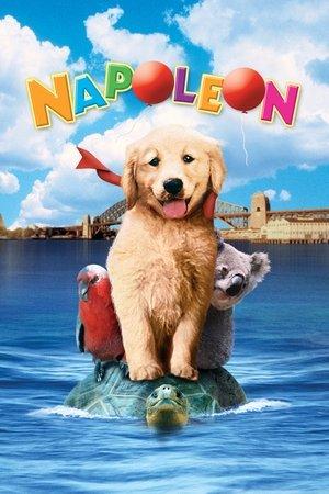 Napoleon streaming