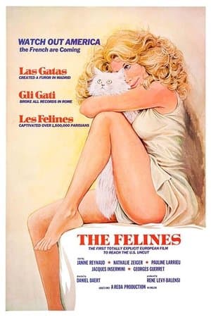 The Felines streaming