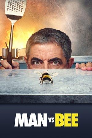 Man Vs Bee streaming