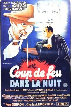Coup de feu dans la nuit streaming