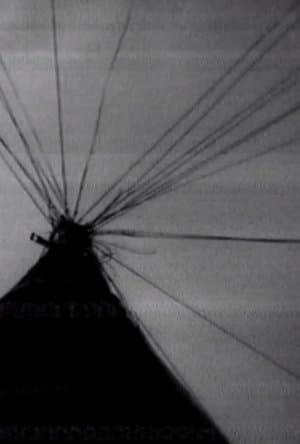 Funnel Web Family Refrigerated streaming