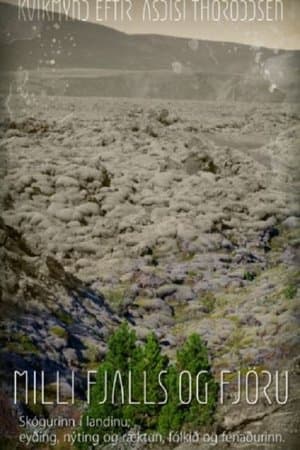 Woods Grew Here Once streaming