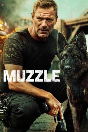 Muzzle streaming