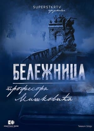 Beležnica profesora Miškovića streaming