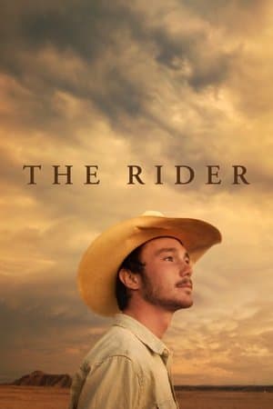 The Rider streaming
