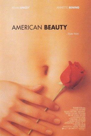 American Beauty streaming