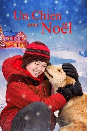 Un chien pour Noël streaming