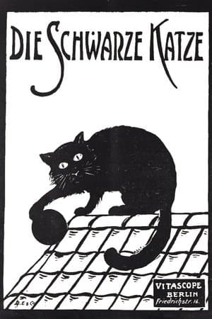 Die schwarze Katze 1. Teil streaming