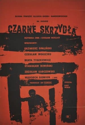 Czarne skrzydła streaming