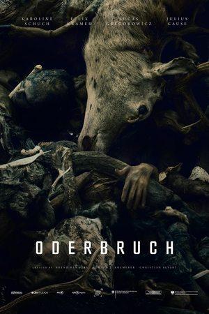 Oderbruch streaming