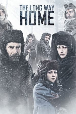 The Long Way Home streaming