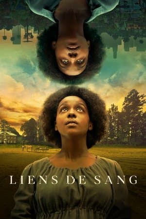 Liens de sang streaming
