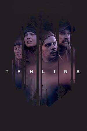 Trhlina streaming