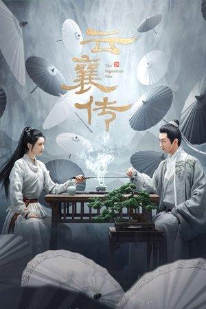 云襄传 streaming
