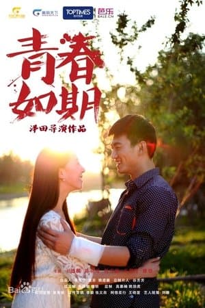 Youth on Schedule streaming