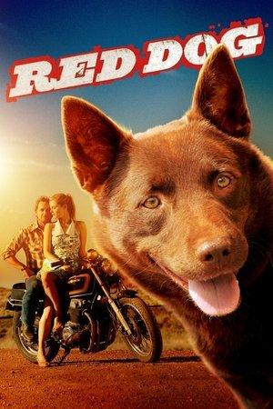 Red Dog streaming