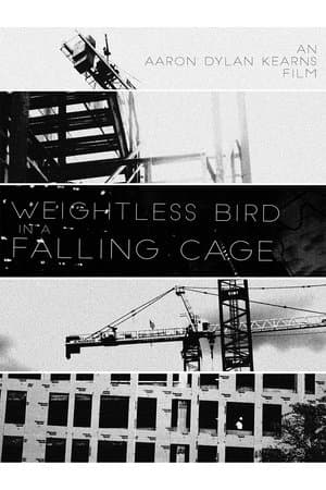 Weightless Bird In A Falling Cage streaming