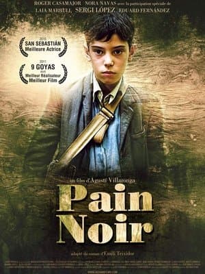 Le Pain noir streaming
