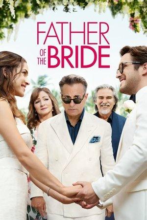 Father of the Bride streaming
