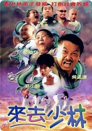 来去少林 streaming