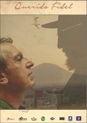 Querido Fidel streaming