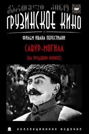 Savur-Mogila streaming