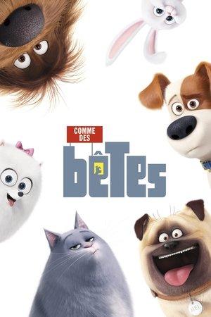 Comme des bêtes streaming