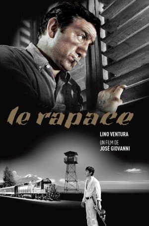Le Rapace streaming