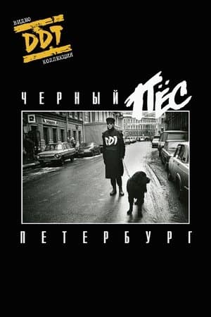 ДДТ: Чёрный пёс Петербург streaming