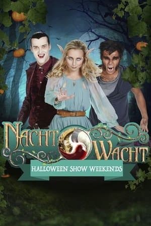 Nachtwacht: Plopsaland Parkshow streaming