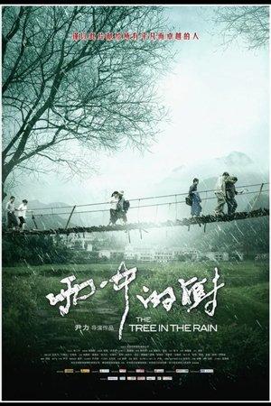 雨中的树 streaming