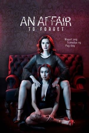 An Affair to Forget streaming